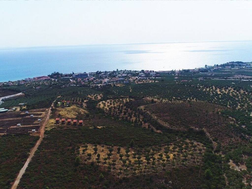 Plot - Grekodom 57227|839328