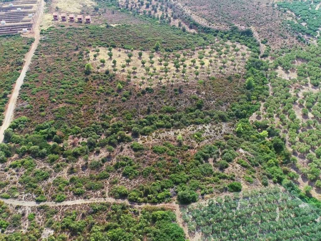 Plot - Grekodom 57227|839329