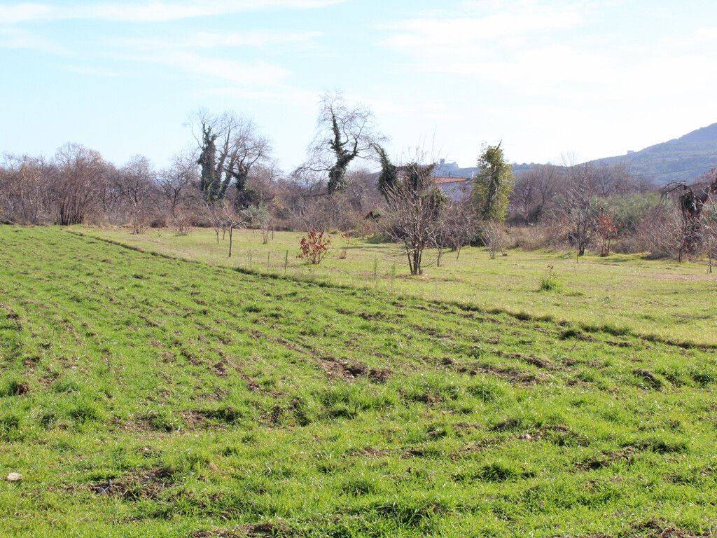 Plot - Grekodom 57828|826897