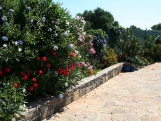 Villa - Grekodom 57927|828799