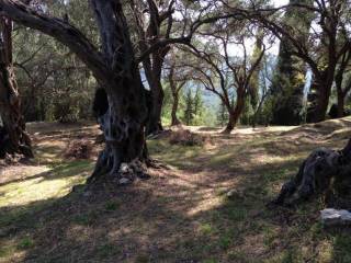 Plot - Grekodom 57905|828215