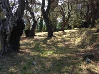 Plot - Grekodom 57905|828210