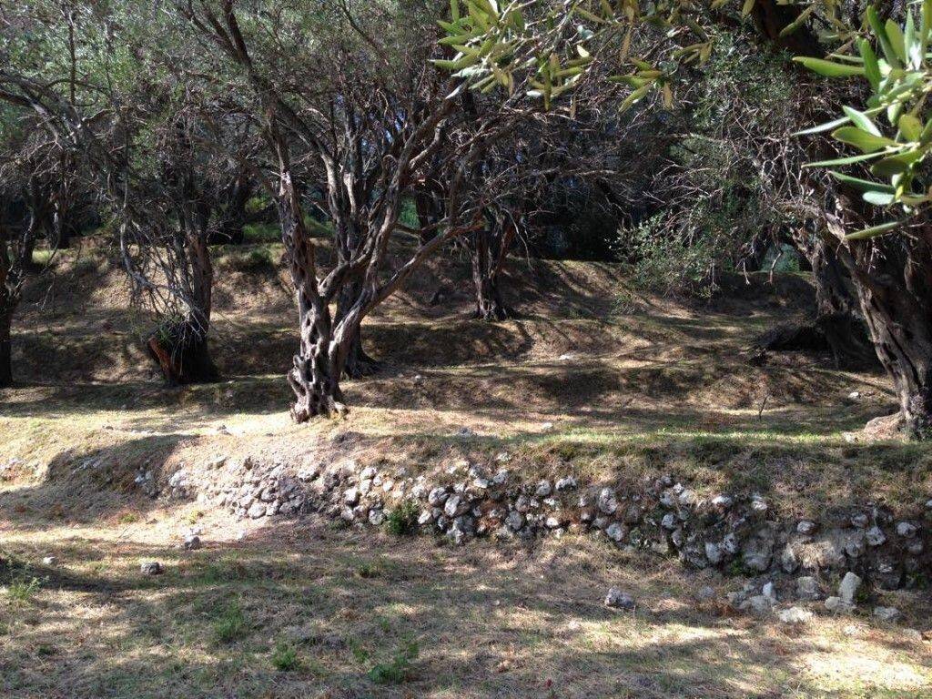 Plot - Grekodom 57905|828211