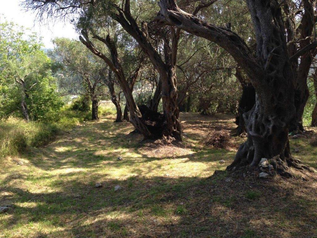 Plot - Grekodom 57905|828213