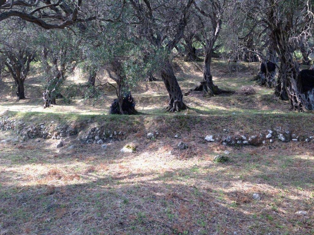 Plot - Grekodom 57905|828214