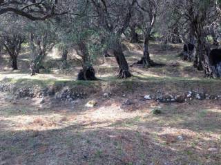 Plot - Grekodom 57905|828214