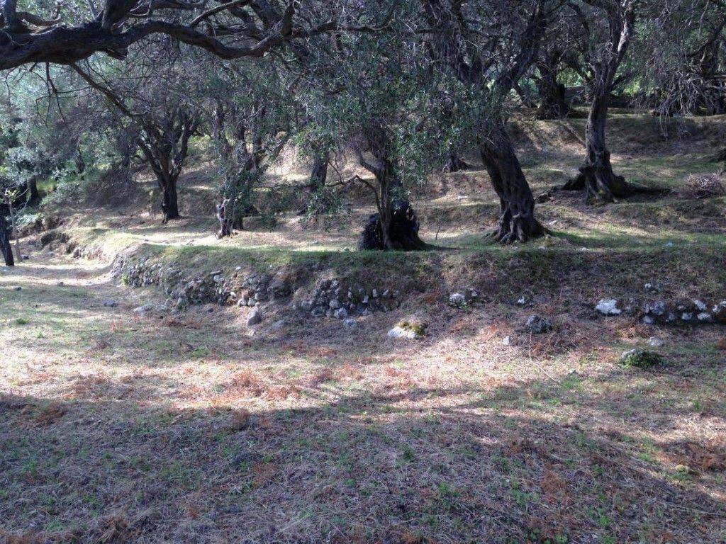 Plot - Grekodom 57905|828216