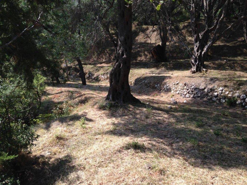 Plot - Grekodom 57905|828217