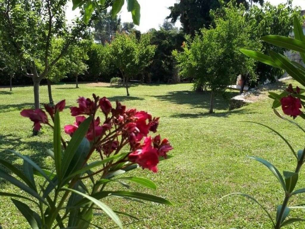 Maisonette - Grekodom 58337|837899