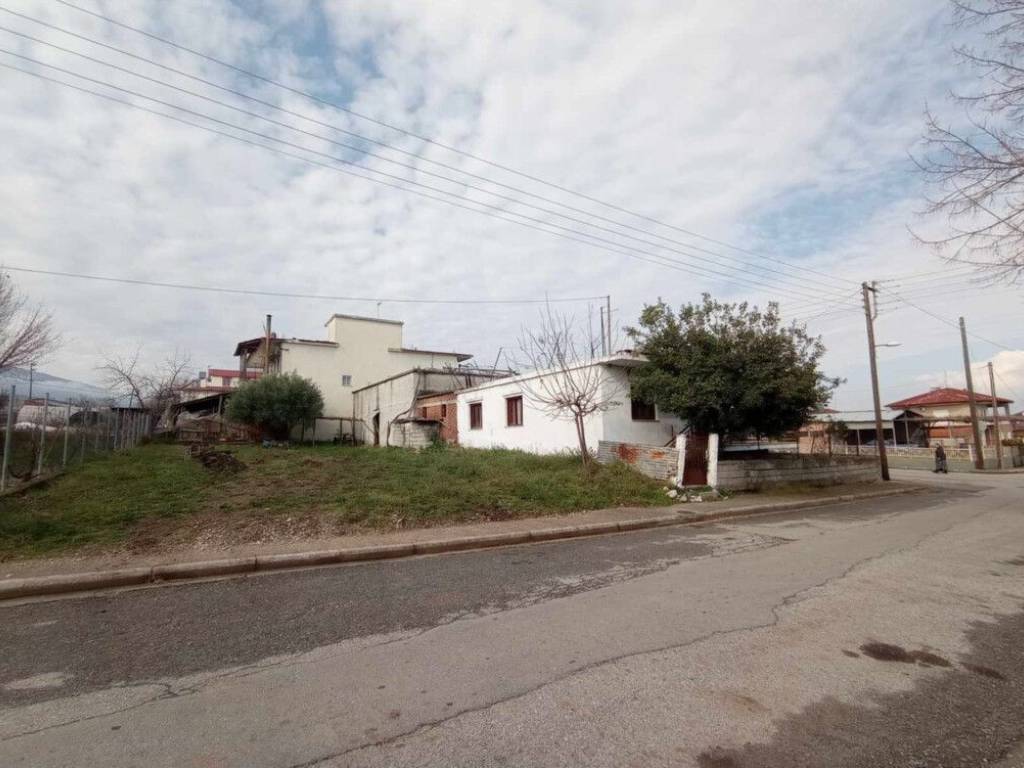 Detached - Grekodom 58438|840840