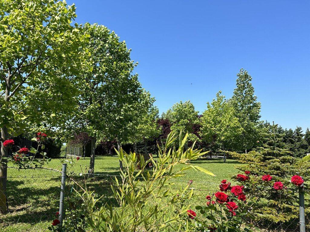 Plot - Grekodom 58475|841991