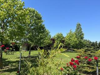 Plot - Grekodom 58475|841991