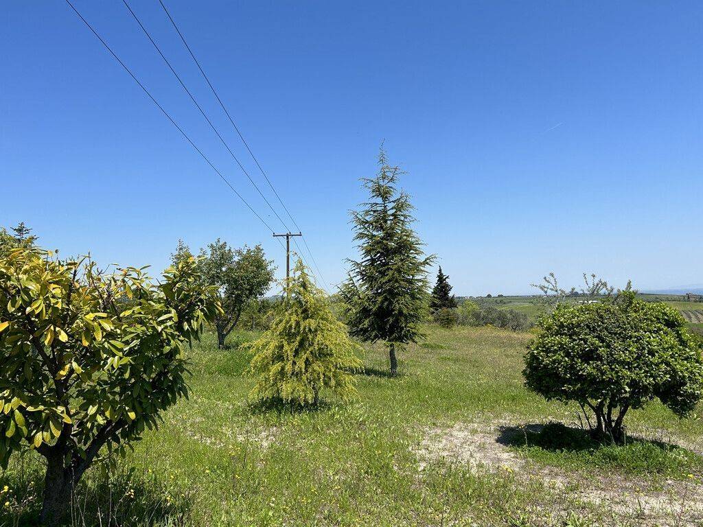 Plot - Grekodom 58475|841989