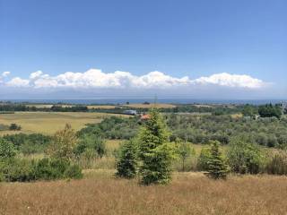 Plot - Grekodom 58475|841992