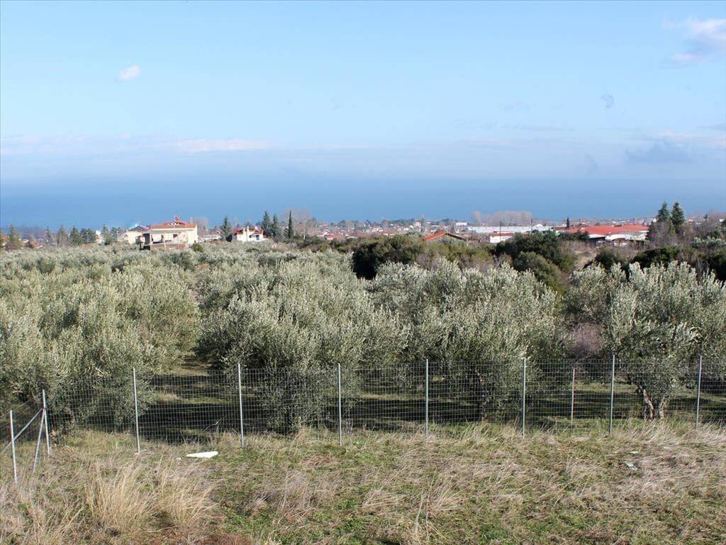 Detached - Grekodom 58945|848500