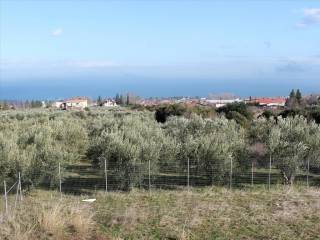 Detached - Grekodom 58945|848500