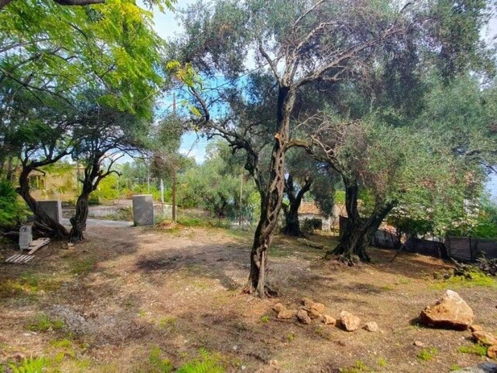 Detached - Grekodom 59047|907853