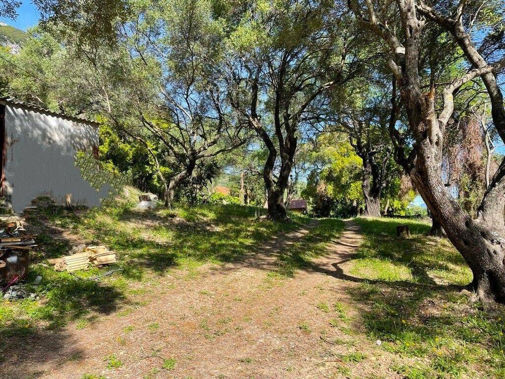 Detached - Grekodom 59047|849625