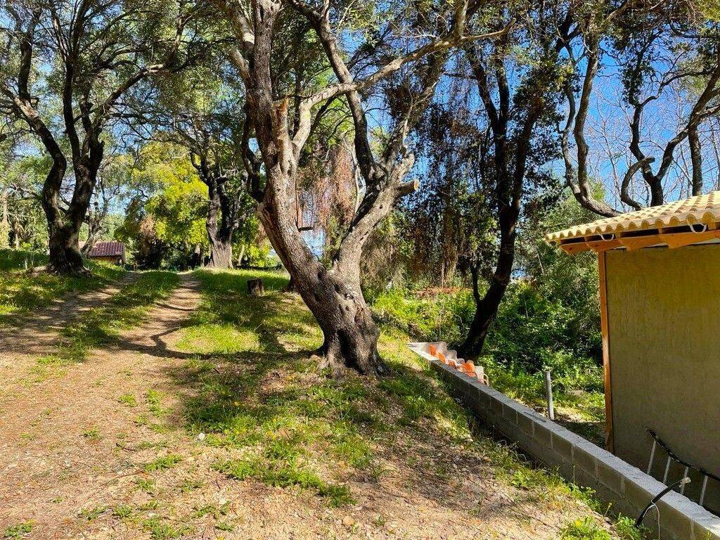 Detached - Grekodom 59047|849908