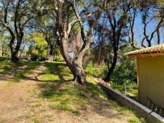 Detached - Grekodom 59047|849908