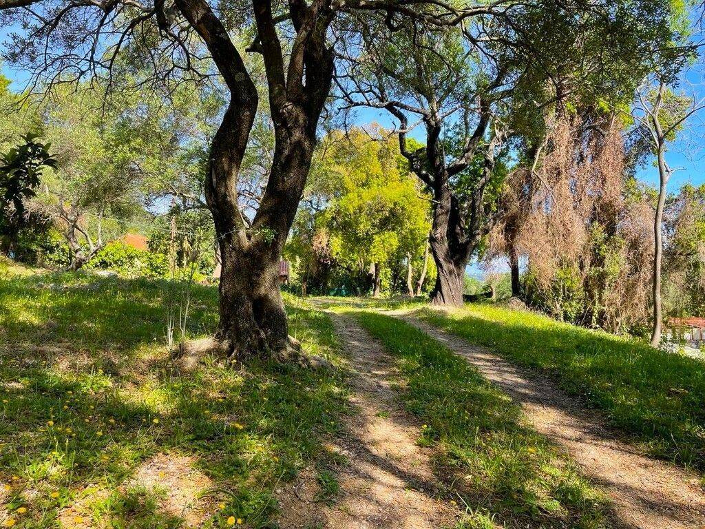 Detached - Grekodom 59047|849718