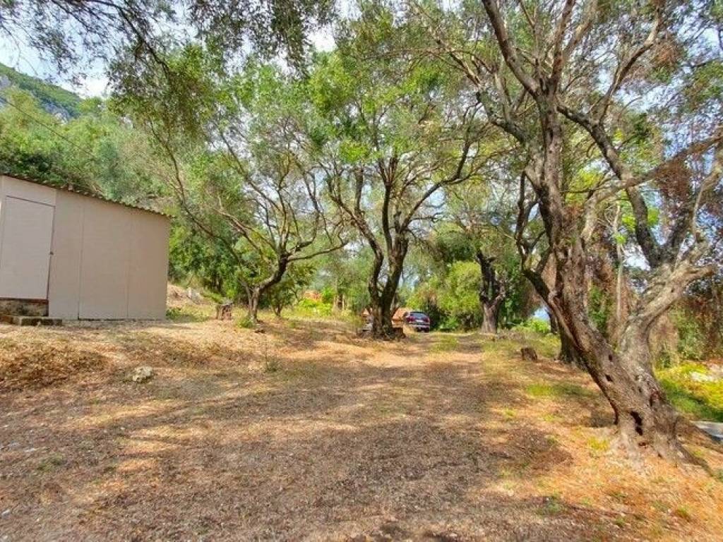 Detached - Grekodom 59047|907855