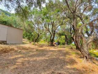 Detached - Grekodom 59047|907855