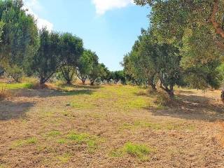 Plot - Grekodom 47335|686505