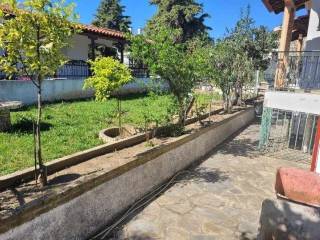 Detached - Grekodom 59420|862301