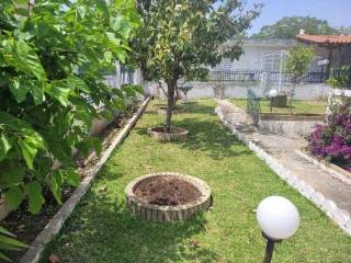 Detached - Grekodom 59420|862297