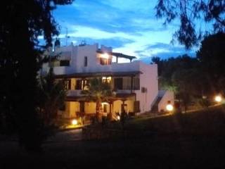 Hotel - Grekodom 59291|859459