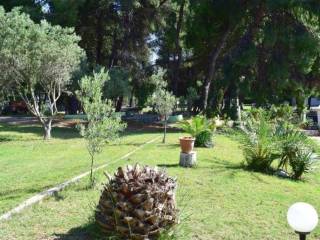 Hotel - Grekodom 59291|859458