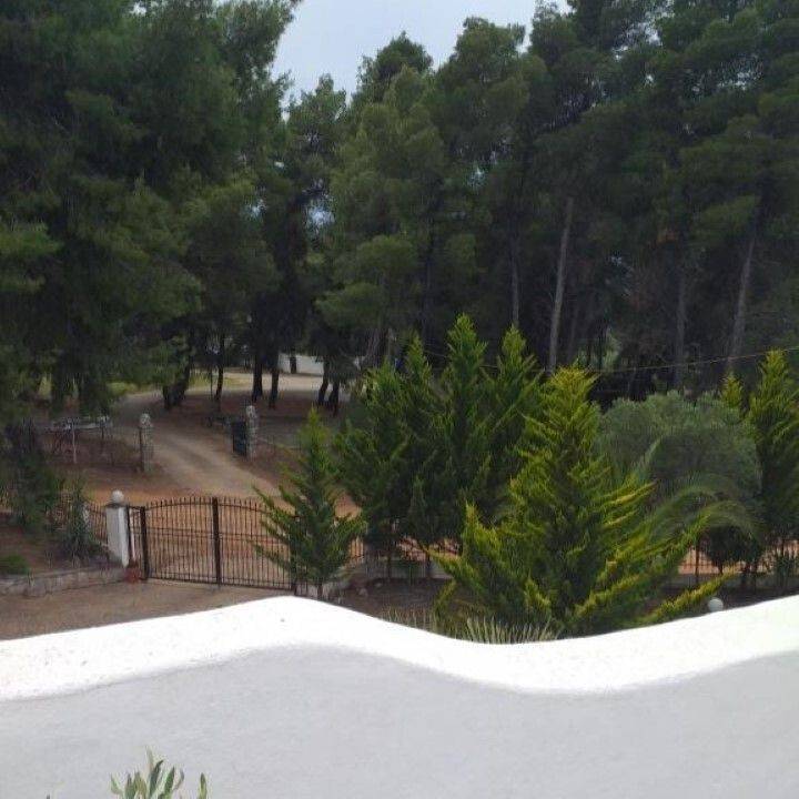 Hotel - Grekodom 59291|859466