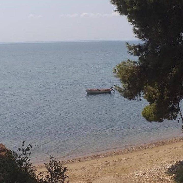 Hotel - Grekodom 59291|859463