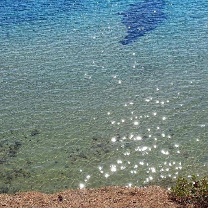 Hotel - Grekodom 59291|859470