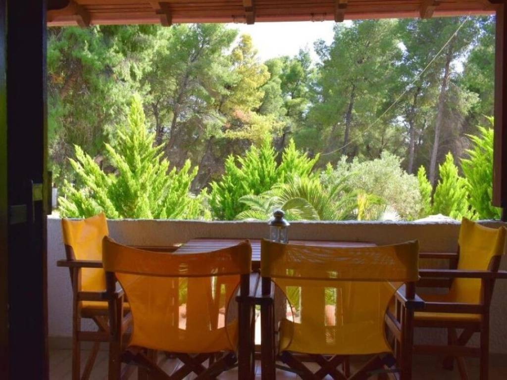 Hotel - Grekodom 59291|859461