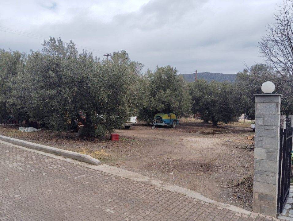 Plot - Grekodom 59464|958463