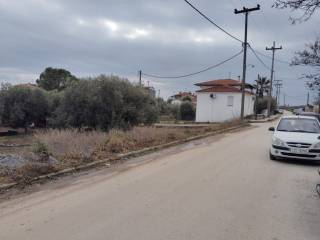 Plot - Grekodom 59464|958465