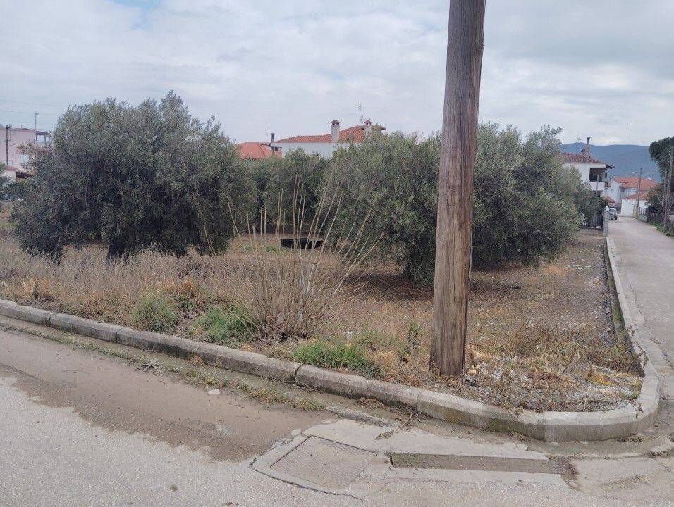 Plot - Grekodom 59464|958466