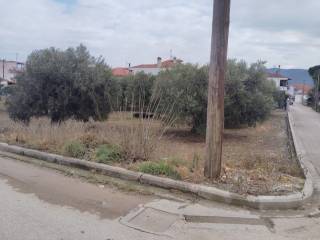 Plot - Grekodom 59464|958466