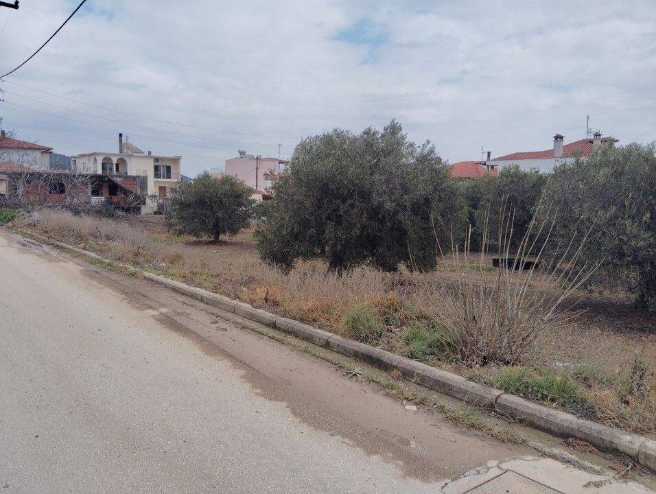 Plot - Grekodom 59464|958469