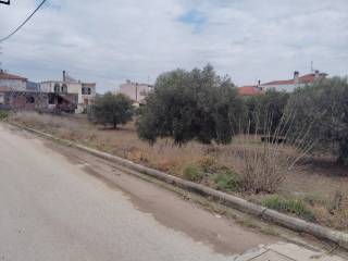 Plot - Grekodom 59464|958469