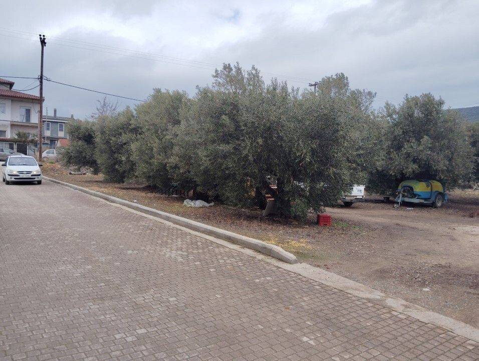 Plot - Grekodom 59464|958471