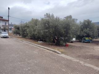 Plot - Grekodom 59464|958471