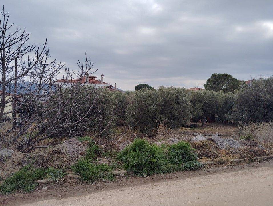 Plot - Grekodom 59464|958473