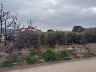 Plot - Grekodom 59464|958473