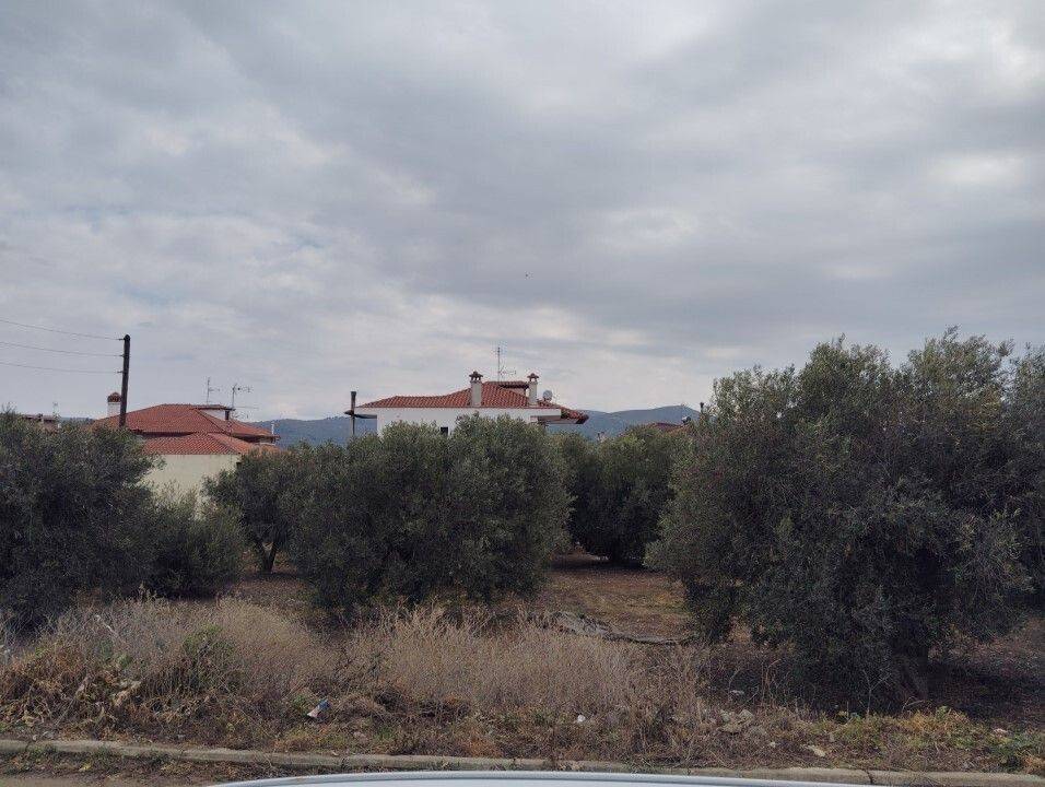 Plot - Grekodom 59464|958475