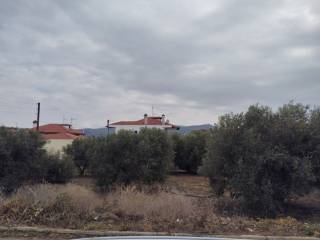 Plot - Grekodom 59464|958475