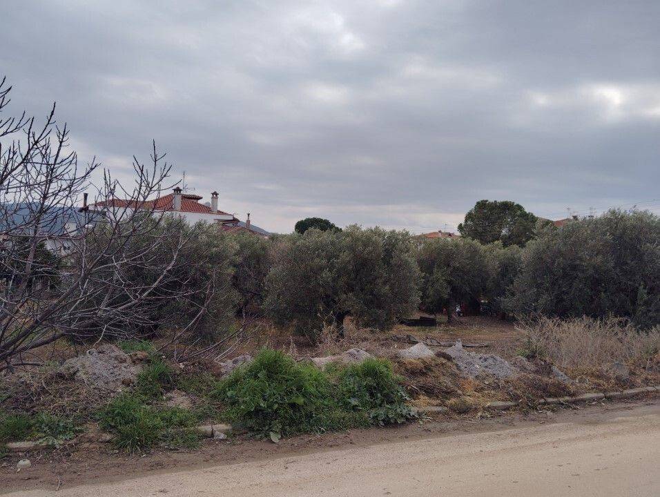 Plot - Grekodom 59464|958479