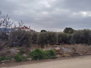 Plot - Grekodom 59464|958479